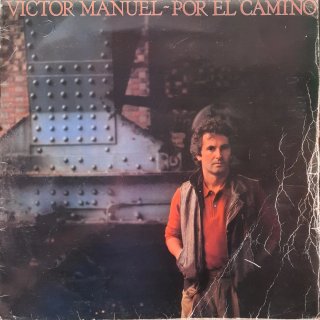Lote de 24 vinilos