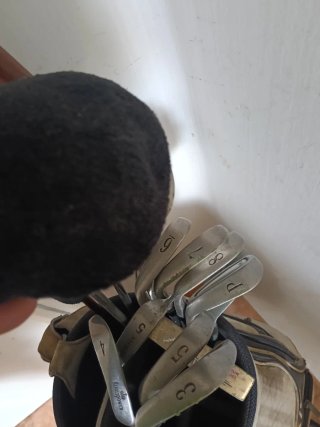 Bolsa de palos de golf