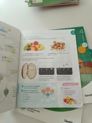 Conocimiento del Medio, 4 Primaria, Mochila lig...