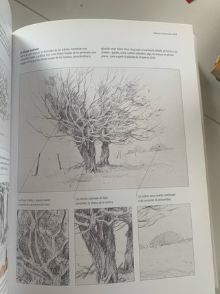 Enciclopedia ilustrada de dibujo, pastel