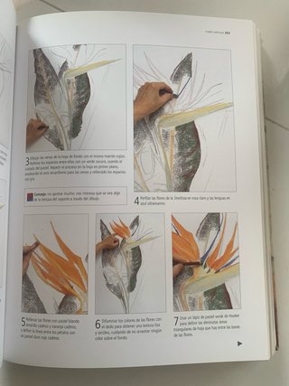 Enciclopedia ilustrada de dibujo, pastel