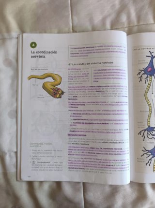 Biología y Geología, 4 ESO, Operación mundo