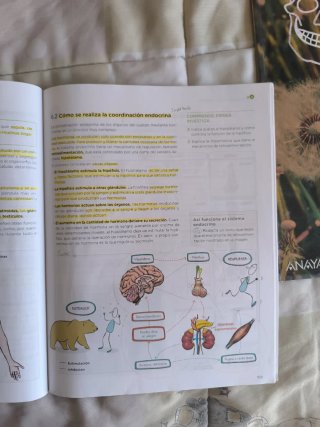 Biología y Geología, 4 ESO, Operación mundo