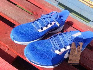 Nike Air Pegasus 41 Talla 49 Azul Racer