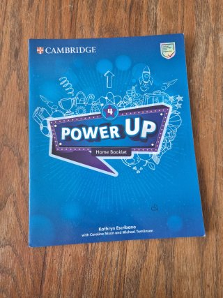 Power Up Level 4 Pupil's Book