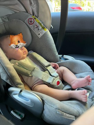 Cybex Priam Platinum Koi Ed. Limitada