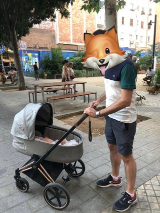 Cybex Priam Platinum Koi Ed. Limitada