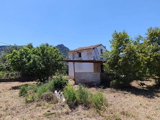 Terreno en venta en Pego