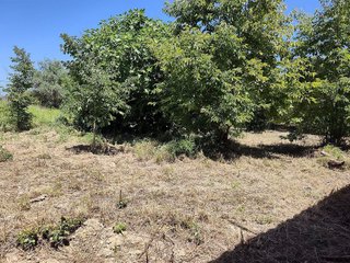 Terreno en venta en Pego