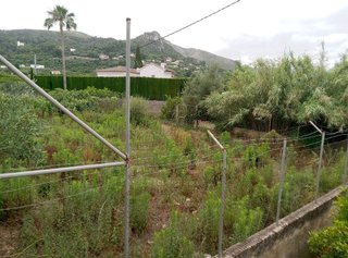 Terreno en venta en Pego
