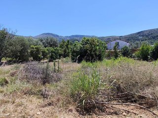 Terreno en venta en Pego