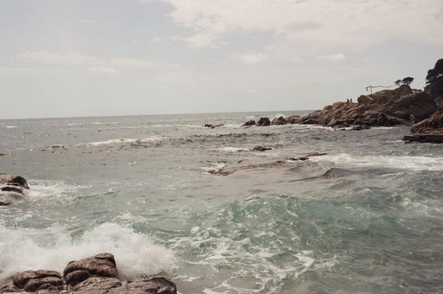 Yashica FX-D Quartz TESSAR 2.8/45
