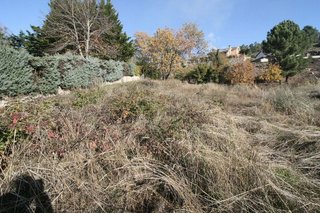 Terreno en venta en Arenas de San Pedro