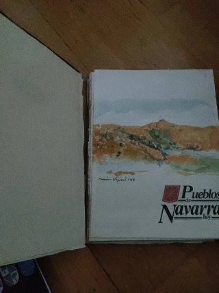 2 libros de Pueblos de Navarra