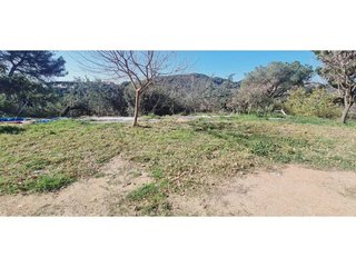 Terreno en venta en Tiana