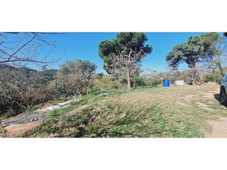 Terreno en venta en Tiana