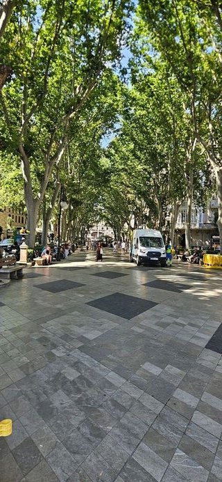 Garaje en venta en La Seu - Cort - Monti-sión en Palma de Mallorca