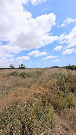 Terreno en venta en El Pla de Sant Josep - L'Asil en Elche