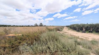 Terreno en venta en El Pla de Sant Josep - L'Asil en Elche