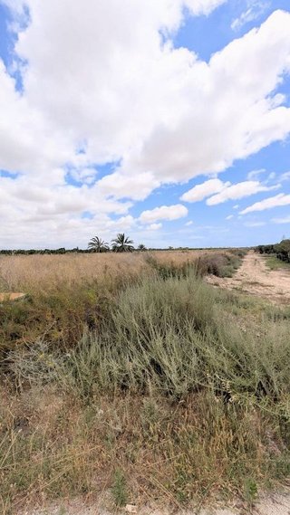 Terreno en venta en El Pla de Sant Josep - L'Asil en Elche