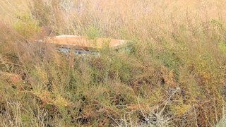 Terreno en venta en El Pla de Sant Josep - L'Asil en Elche