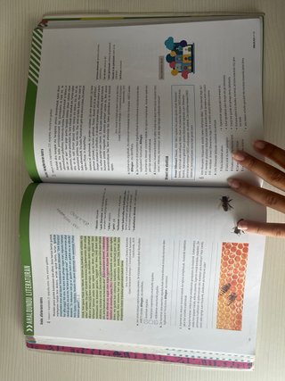 Euskara eta Literatura Batxilergoa 1
