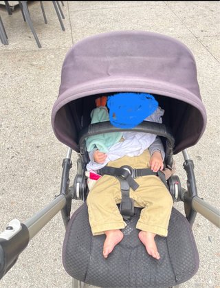 Carrito Bugaboo Bee 6