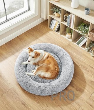 Cama de perros con cojín central lavable