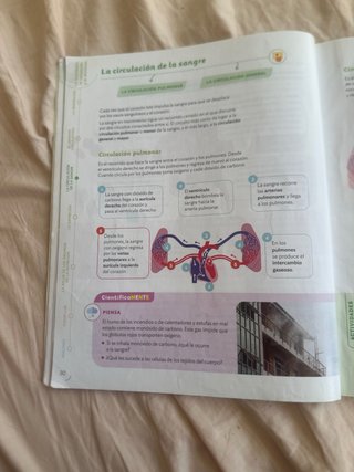 Ciencias de la Naturaleza, 6 Primaria, Proyecto...