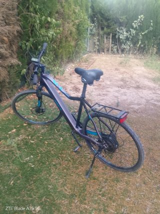 Bicicleta Morada