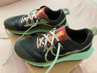 Nike React Pegasus Trail 4 Zapatillas Mujer