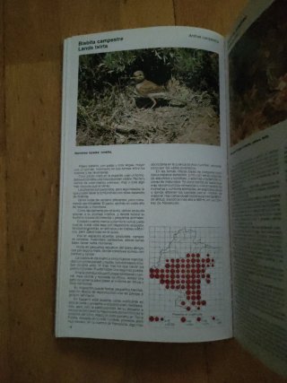 NAVARRA. ATLAS DE AVES NIDIFICANTES (1982-1984).