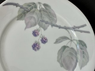 🇩🇪 Rosenthal 6 Platos Postre Porcelana