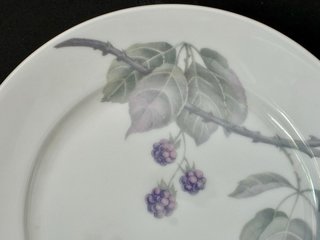 🇩🇪 Rosenthal 6 Platos Postre Porcelana