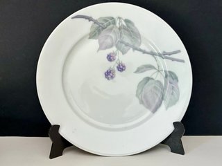 🇩🇪 Rosenthal 6 Platos Postre Porcelana
