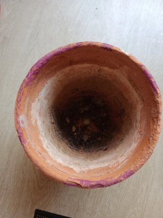 Maceta barro y 4 macetitas plástico