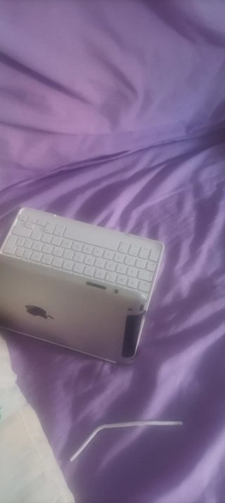 Apple iPad Plata