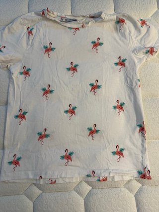 Lote Ropa chica Talla S