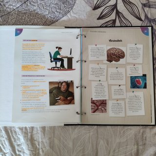 Educació Física 1 Primer d'ESO Projecte Khronos