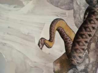 Vinilo Yes - Relayer (1974)