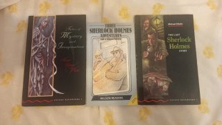 Lote de librillos en ingles