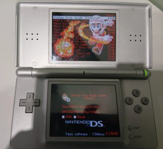 Nintendo DS Plata