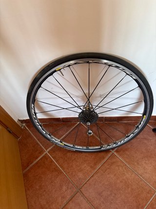 Rodillo Ciclismo CycleOps