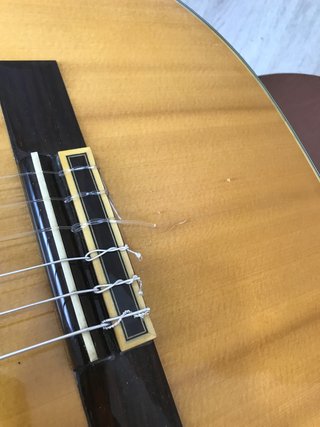 Takamine EC 128 1979