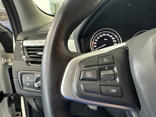 BMW X2 xDrive25e Auto (2023)