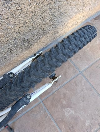 Bicicleta Infantil 20 Pulgadas