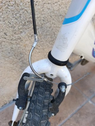 Bicicleta Infantil 20 Pulgadas