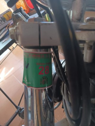 Moto Wildlander 250cc Cruiser Negra y Dorada