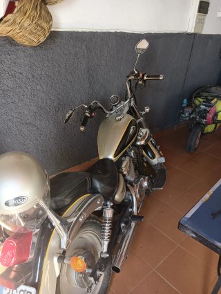 Moto Wildlander 250cc Cruiser Negra y Dorada