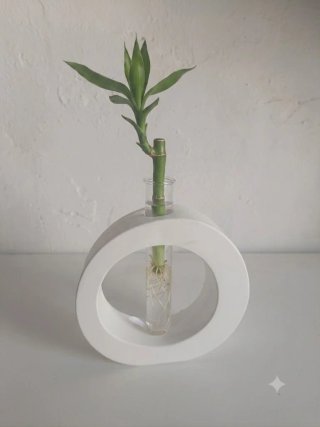 Propagador de esquejes con base escayola